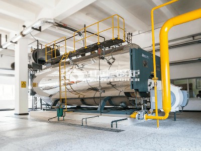 6吨WNS系列冷凝式燃气蒸汽锅炉项目（久味夙食品）