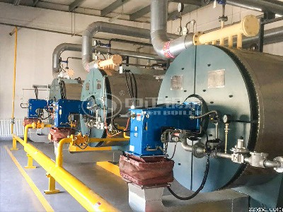 河南长领700万大卡YQW系列燃气卧式导热油锅炉项目